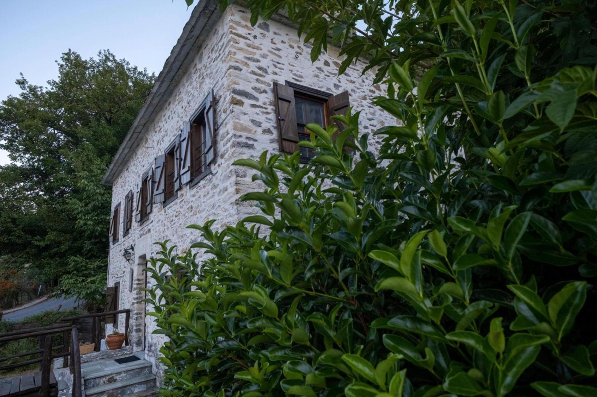 الشقق الفندقية فيزيتسافي  Archontiko Michael Pelion المظهر الخارجي الصورة
